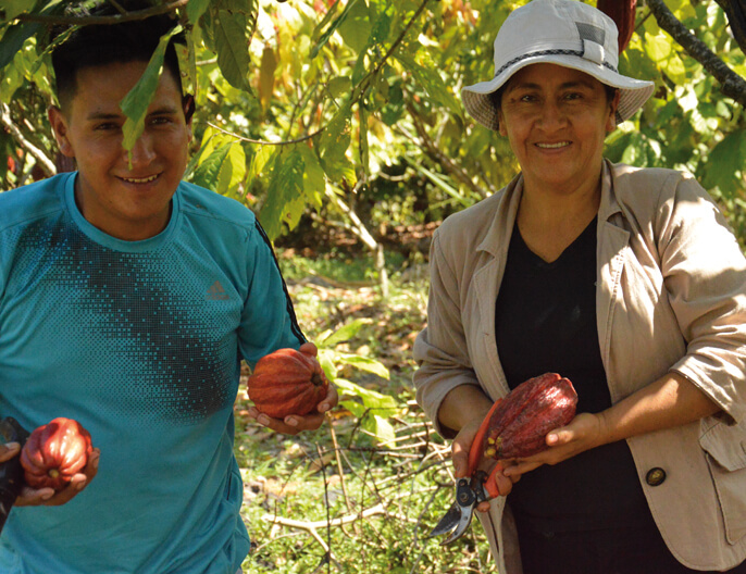 Producteurs cacao coopÃ©rative Norandino au PÃ©rou noir orange